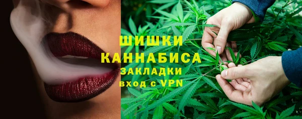соль ск Пестово